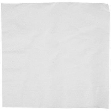 Serviette papier blanche 2 plis 30x30 cm